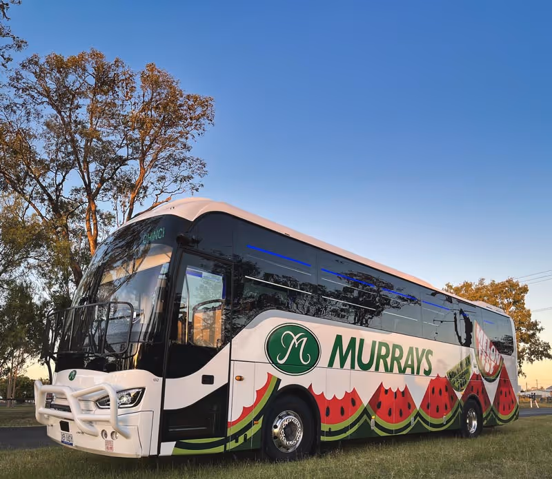 Image of a Murrays Coach in a Watermelon Festival Wrap.